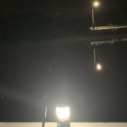 小豆島旅行中の釣り